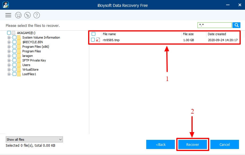 iboysoft recover