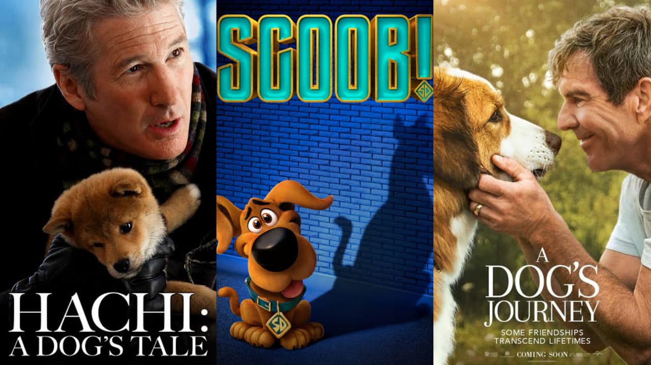 10+ Rekomendasi Film Tentang Anjing yang Setia