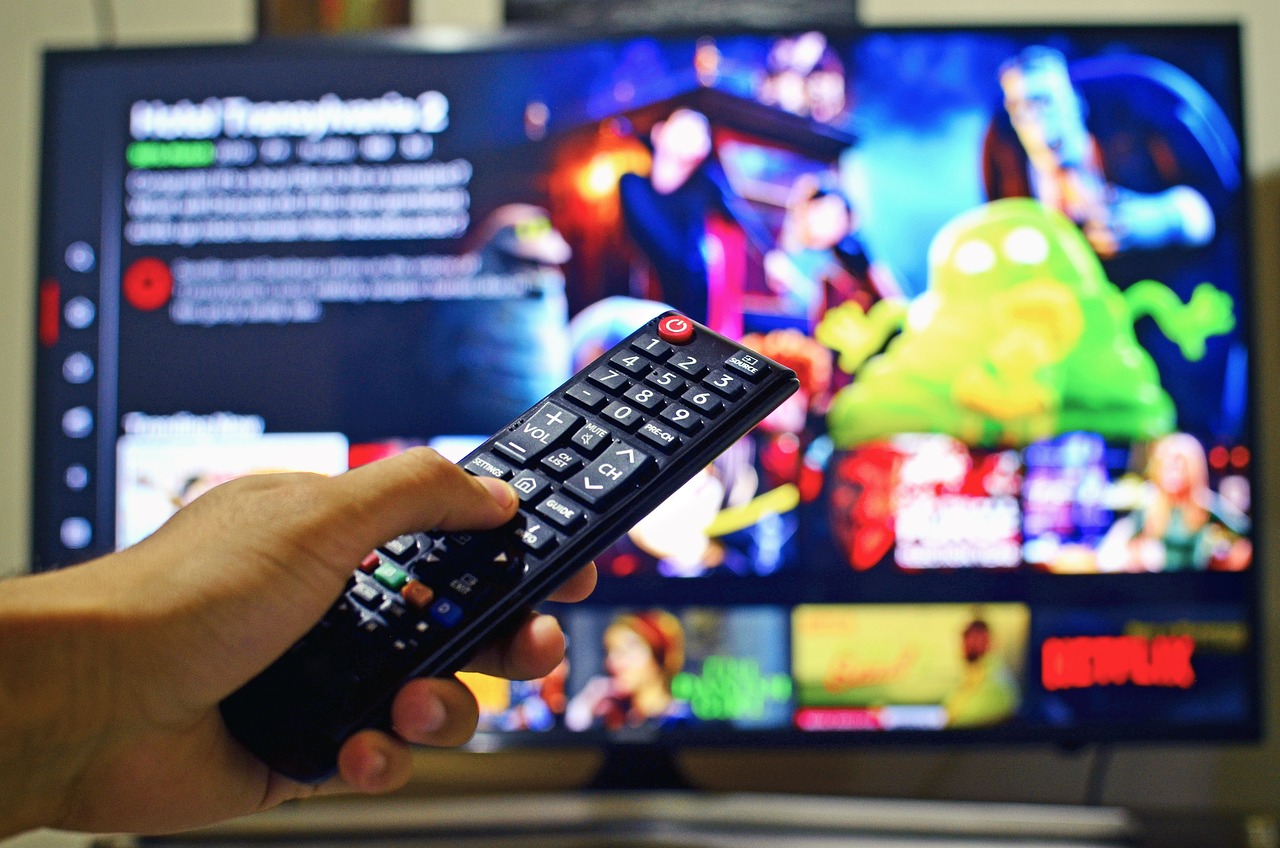 Netflix streaming online