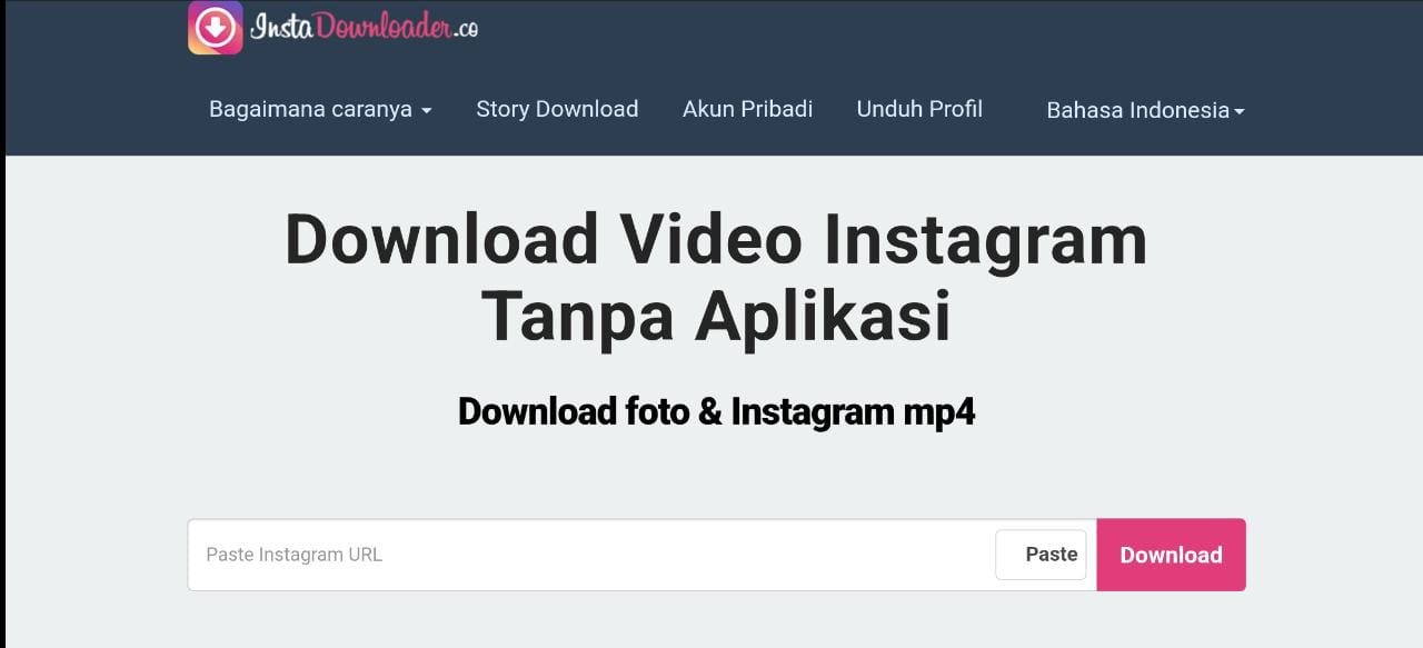 Instagram downloader 