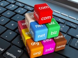 Menggunakan Custom Domain atau Top Level Domain (TLD)