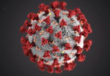 Statistik Virus Corona Terkini di Indonesia dan Dunia - covid-19