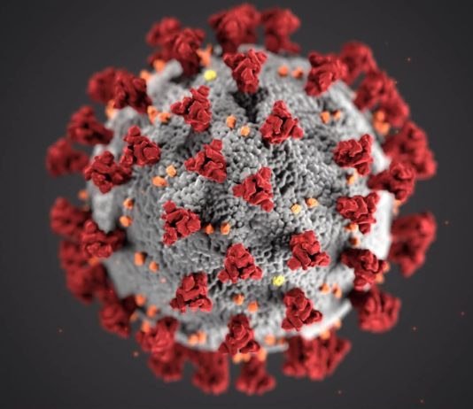 Statistik Terkini Virus Corona di Indonesia dan Dunia: Minggu, 19 Juli 2026 Statistik Virus Corona Terkini di Indonesia dan Dunia - covid-19