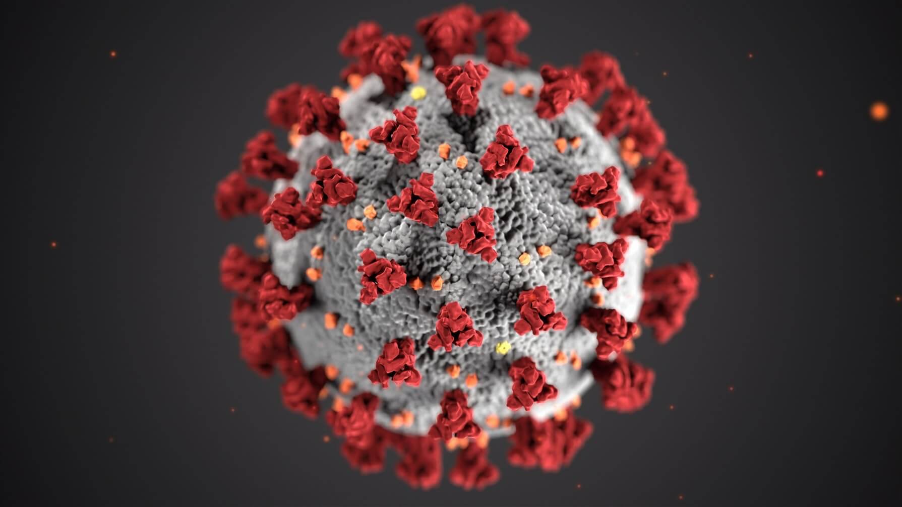  Statistik  Terkini Virus Corona  di Indonesia  dan Dunia 