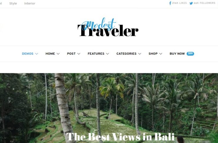 Theme WordPress Terbaik Untuk Personal Blogger - authentic
