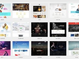 Theme WordPress Untuk Website Company Profile