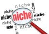 Tips Memilih Niche Blog Terbaik
