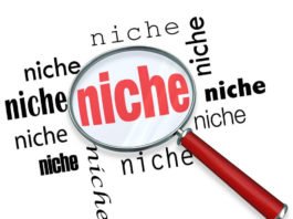 Tips Memilih Niche Blog Terbaik