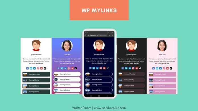 Wp Mylinks Cara Membuat Link Di Bio Instagram Dengan Wordpress