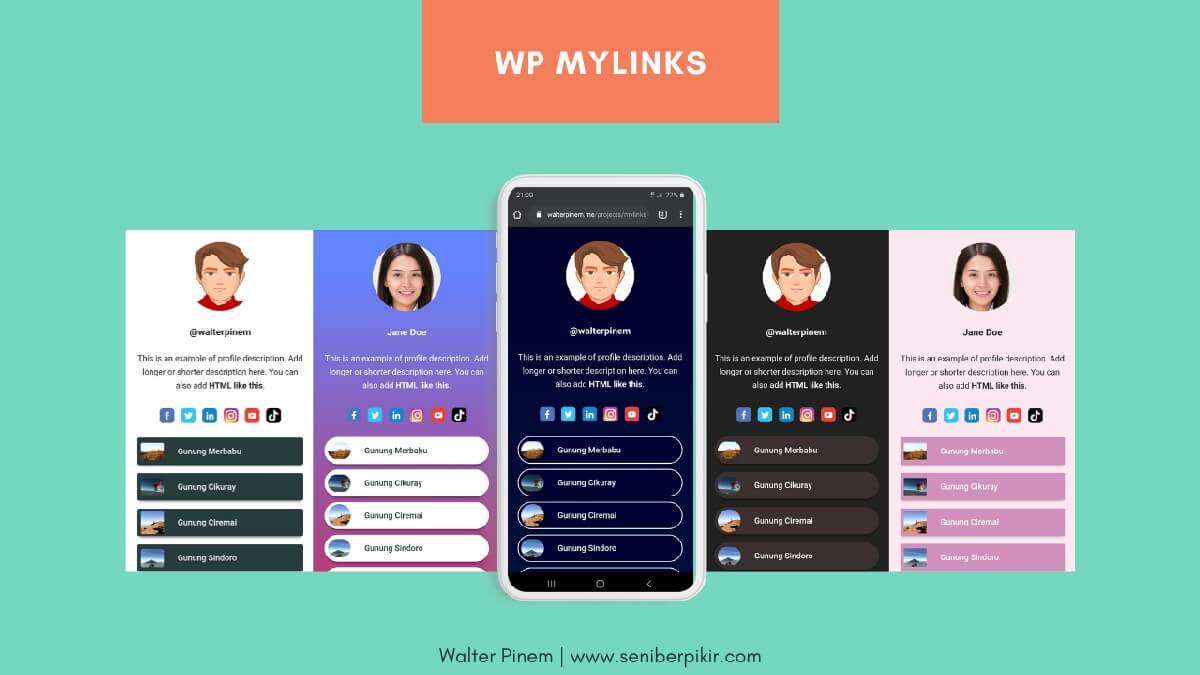 WP MyLinks - Cara Membuat Link di Bio dengan WordPress