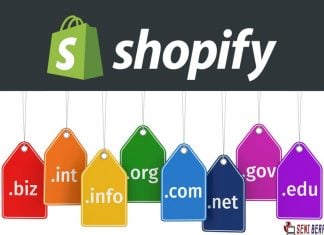 Cara Menggunakan Custom Domain di Shopify cara menggunakan custom domain di shopify - seniberpikir.com