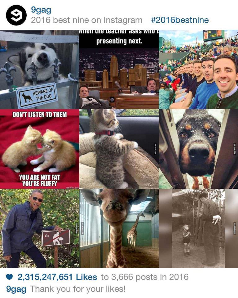 Cara Melihat Foto Instagram yang Paling Banyak Like | Seni