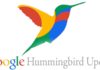 google hummingbird