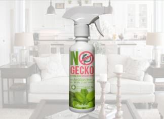 NoGecko: Pengusir Tokek dan Hewan Melata Lainnya Asal Thailand nogecko spray