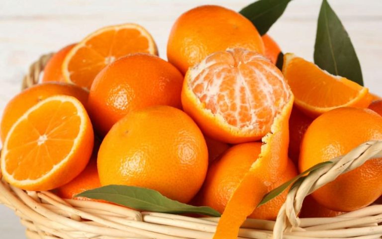 Diet Menjadi Lebih Gampang Dengan Bermacam-Macam Pilihan ...