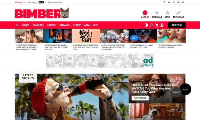 theme wordpress bimber