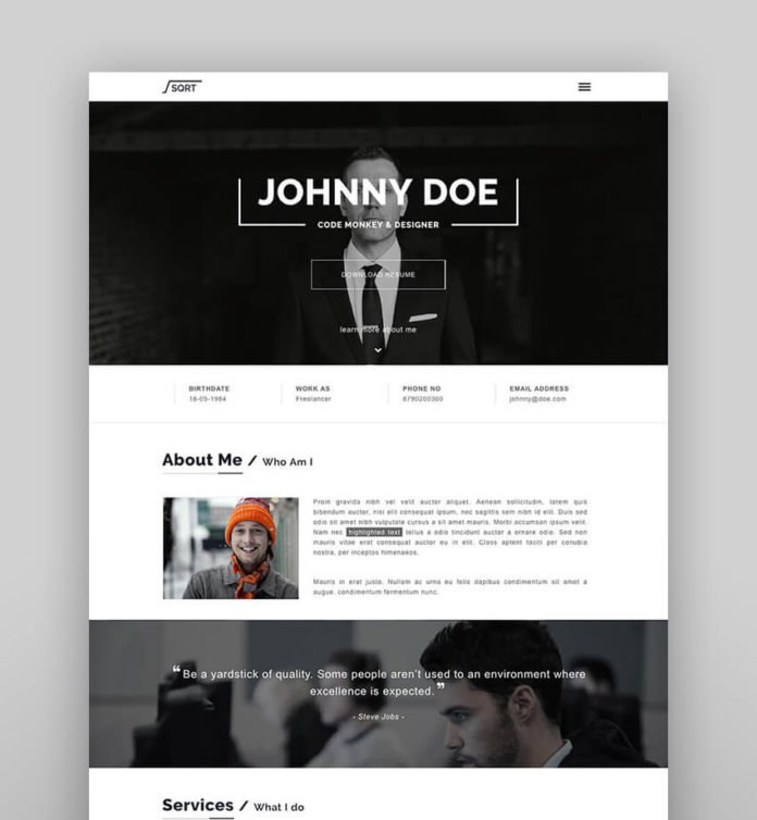 theme wordpress resume portfolio - squareroot