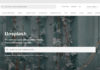 Situs Penyedia Gambar Gratis Untuk Blog - free stock photo