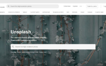 Situs Penyedia Gambar Gratis Untuk Blog - free stock photo