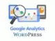 Cara Install Google Analytics di WordPress Tanpa Plugin