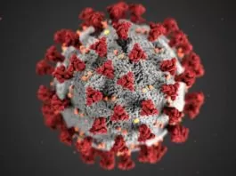Statistik Terkini Virus Corona di Indonesia dan Dunia: Kamis, 3 September 2026 Statistik Virus Corona Terkini di Indonesia dan Dunia - covid-19
