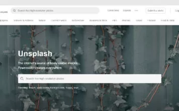 Situs Penyedia Gambar Gratis Untuk Blog - free stock photo